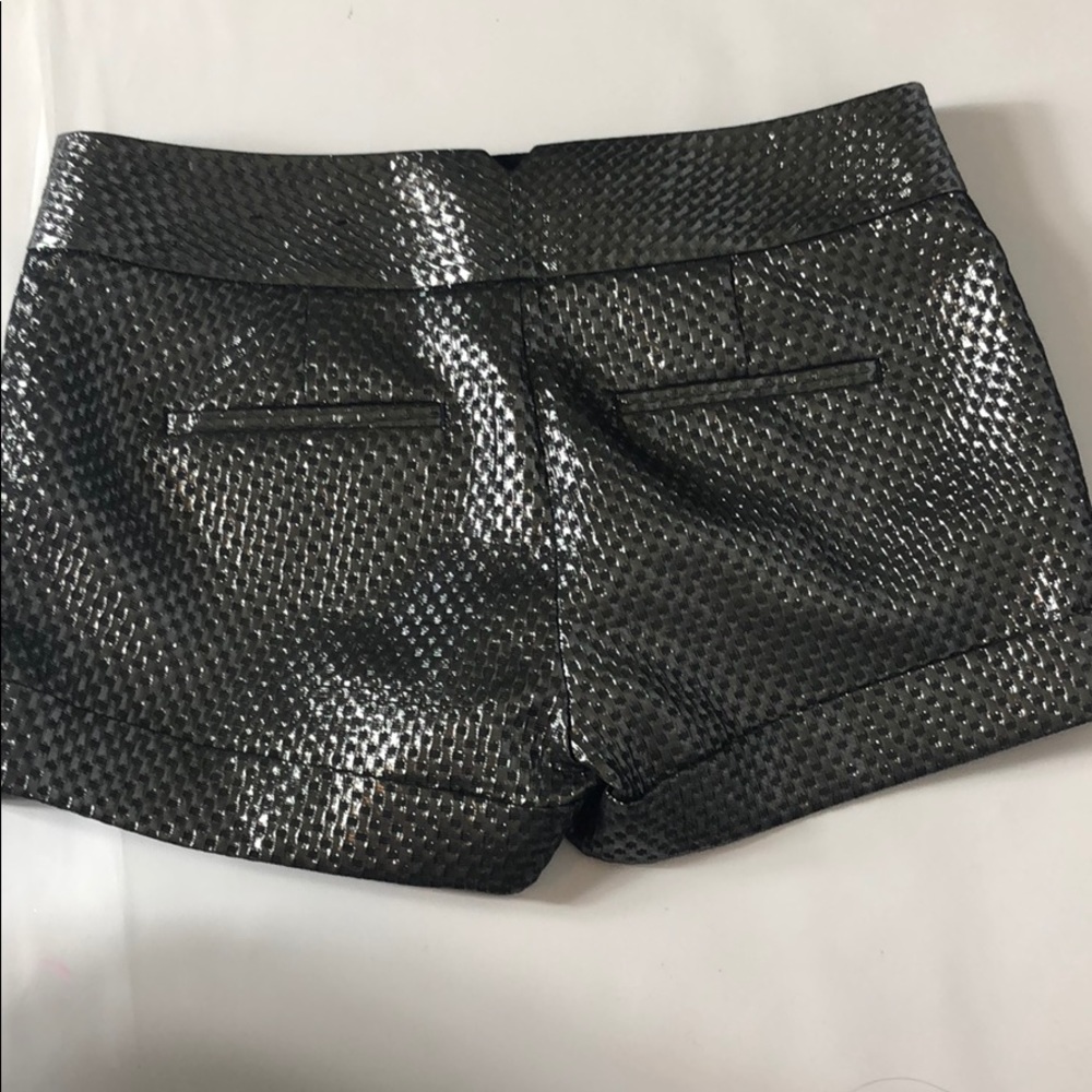 Express Shorts - Picture 4 of 4